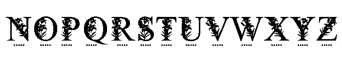 RoyalLilyFloralMonogram Font LOWERCASE