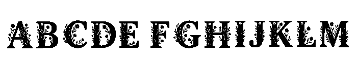 Royalcore Regular FONT