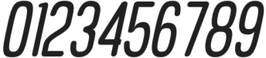 RobineRounded-Italic otf (400) Font OTHER CHARS