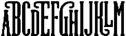 Rodeo Night otf (400) Font