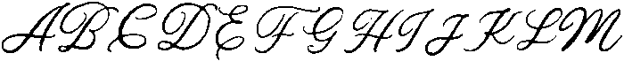 Rose Amoure otf (400) Font UPPERCASE