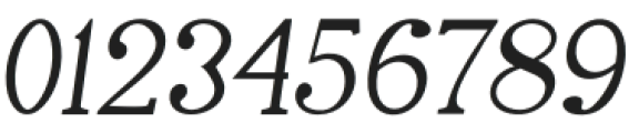 Rostley Italic otf (400) Font OTHER CHARS