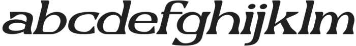 Rotacle Italic otf (400) Font LOWERCASE