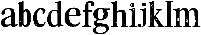 Rough Elegant Serif Regular otf (400) FONT