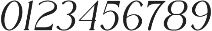 Rowan 5 Italic otf (400) Font OTHER CHARS