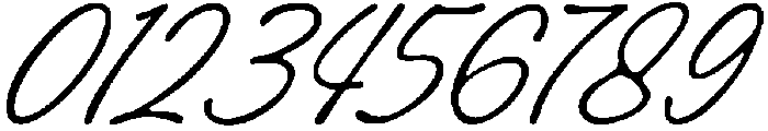 Royal Maison Script otf (400) Font OTHER CHARS