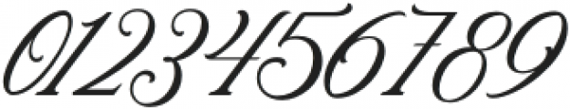 RoyalWonder-Regular otf (400) Font OTHER CHARS