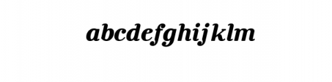 Rosengarten-Serif Italic.otf Font LOWERCASE