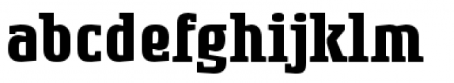 Rogue Serif Bold Font LOWERCASE