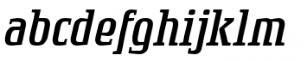 Rogue Serif Light Italic Font LOWERCASE