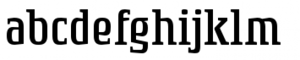 Rogue Serif Light Font LOWERCASE