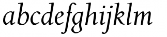 Roos Roman Italic Font LOWERCASE