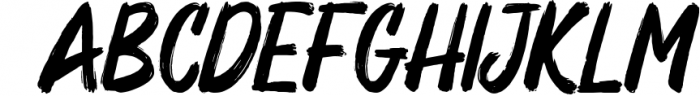 Rogersan - Brush Font Font LOWERCASE
