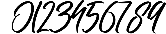 Ronttsein - Brush Script Font Font OTHER CHARS