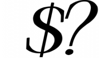 Roschild - Serif Font Family 2 Font OTHER CHARS