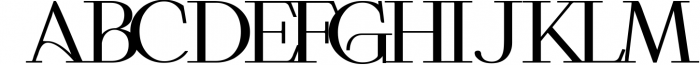 Roschild - Serif Font Family 3 Font UPPERCASE