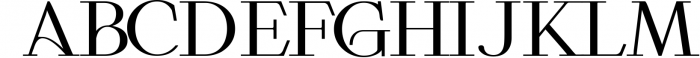 Roschild - Serif Font Family 3 Font LOWERCASE