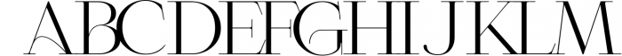 Roschild - Serif Font Family Font UPPERCASE