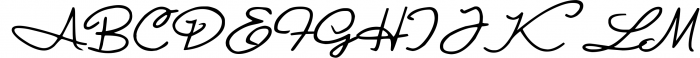 Royal Wedding - Signature Modern Font Font UPPERCASE