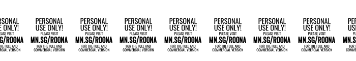 Roona Sans Bold PERSONAL Italic Font OTHER CHARS