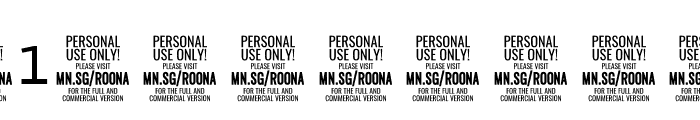 Roona Sans Medium PERSONAL Font OTHER CHARS