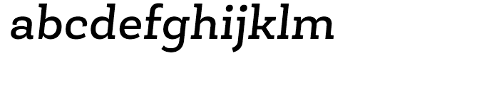 Roble Medium Italic Font LOWERCASE