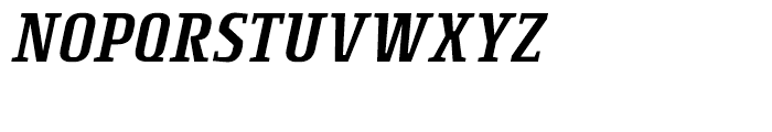 Rogue Serif Light Italic Font UPPERCASE