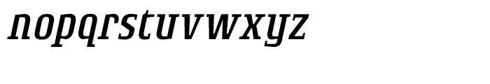 Rogue Serif Light Italic Font LOWERCASE