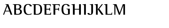 Rotis Semi Serif 65 Cyrillic Bold Font UPPERCASE
