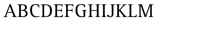 Rotis Serif 55 Roman Font UPPERCASE