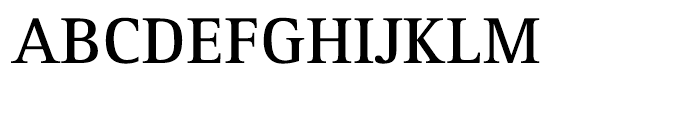 Rotis Serif 65 Greek Bold Font UPPERCASE