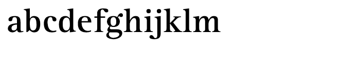 Rotis Serif 65 Greek Bold Font LOWERCASE