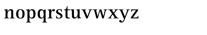 Rotis Serif 65 Greek Bold Font LOWERCASE