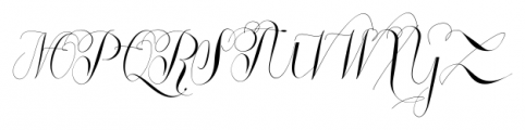 Roicamonta Curly Italic Font UPPERCASE