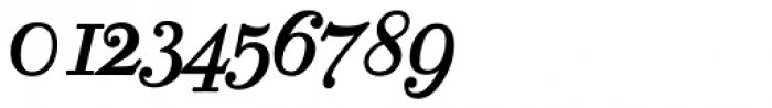 Robusta Roman Italic Font OTHER CHARS