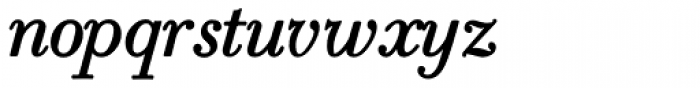 Robusta Roman Italic Font LOWERCASE