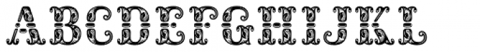 Rocaie Font LOWERCASE