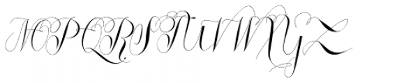 Roicamonta Curly Italic Font UPPERCASE