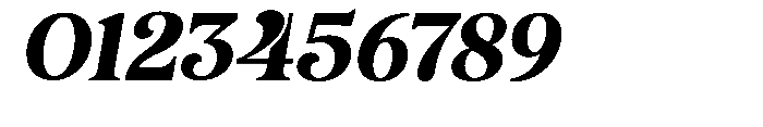 Roogle Italic Font OTHER CHARS