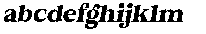 Roogle Italic FONT