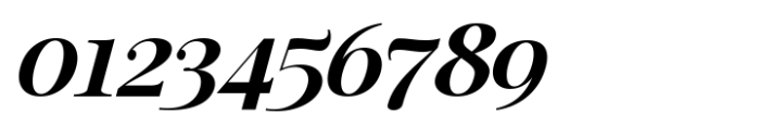 Rotifera Black Italic Font OTHER CHARS
