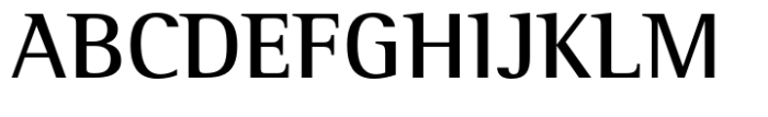 Rotis Semi Serif Paneuropean 65 Bold Font UPPERCASE