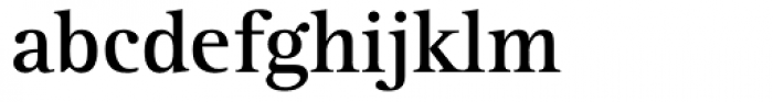 Rotis Serif Bold 65 Font LOWERCASE