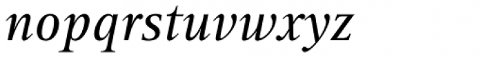Rotis Serif Std Italic Font LOWERCASE
