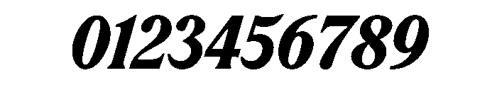 RodneyItalic BlackItalic Instance Font OTHER CHARS