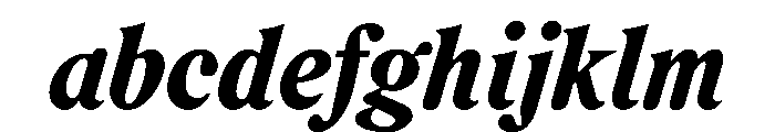 RodneyItalic BlackItalic Instance FONT