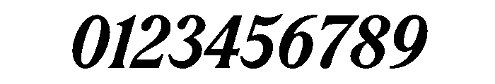 RodneyItalic BoldItalic Instance Font OTHER CHARS