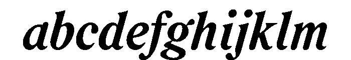 RodneyItalic BoldItalic Instance FONT