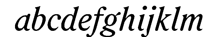 RodneyItalic RegularItalic Instance FONT