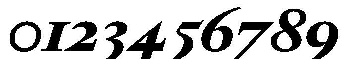 RomainduRoiItalicVAR BlackContrastItalic Instance Font OTHER CHARS